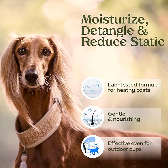 PAWFUME Dog Perfume Spray Long Lasting, Show Dog, 2-Pack | Hypoallergenic, alcohol-free detangling formula keeps pups fresh all day, moisturizing Pet Cologne Spray for Dogs
