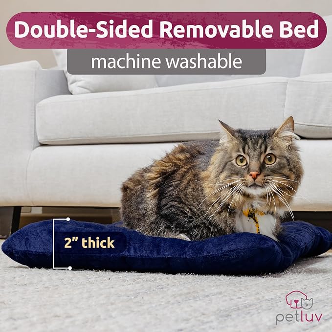 Dog & Cat Carrier, Large, Navy | Soft-sided, Fits Large Cat, 2 Cats, or Medium Dog Comfortably, Great for Travel & Vet Visits, Privacy Windows, Removable Bed