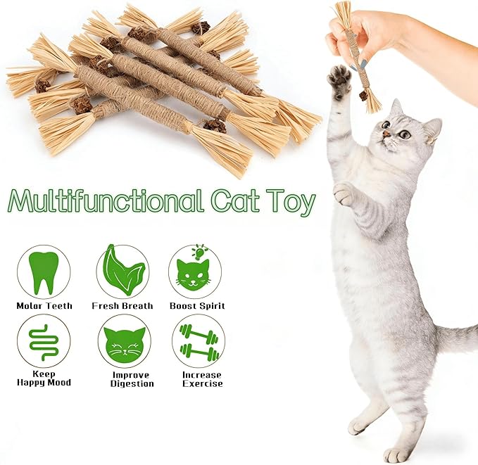 7PCS-Cat Chew Toy, Cat Toys for Indoor Cats with Silvervine Sticks, Safe Teeth Cleaning Chew Toys (Model 2)