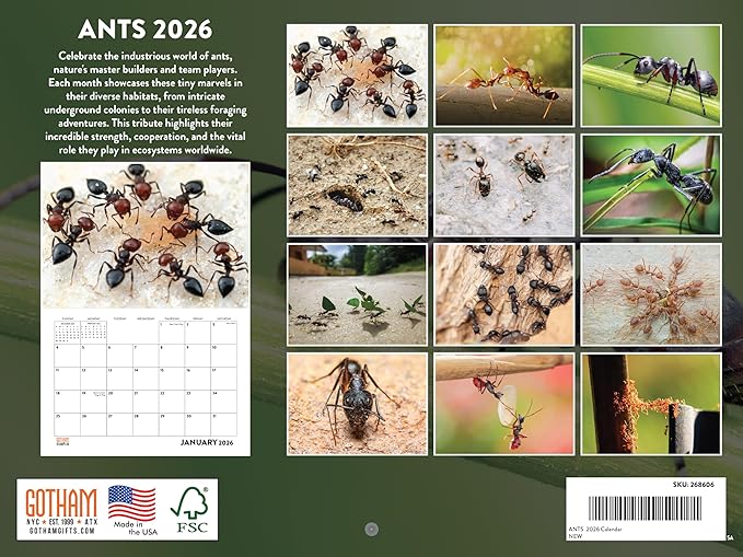 Ant Calendar 2026 Ants Monthly Wall Calender 12 Month Ants Gifts For Insect Lovers | American Made In The USA
