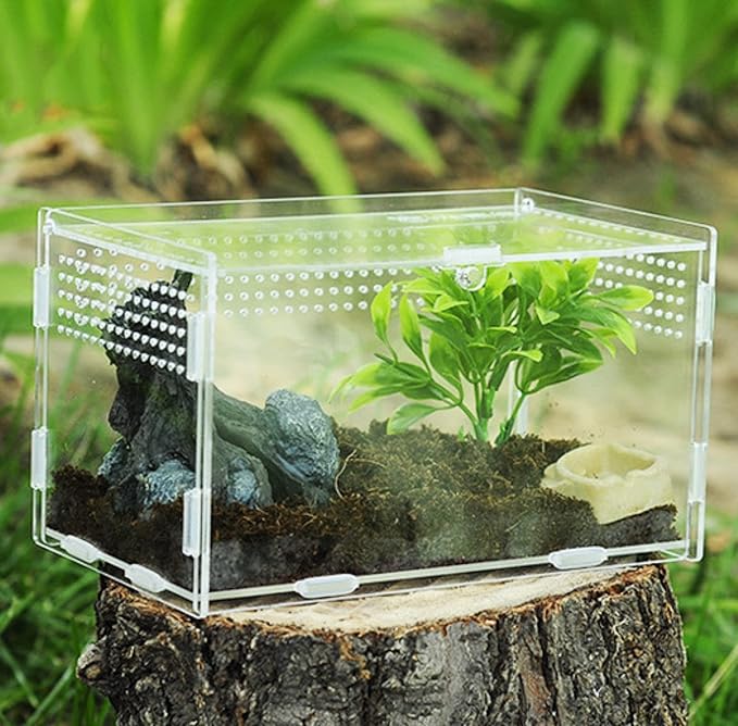 AWXZOM Magnetic Acrylic Case, micro habitat small Tarantula Enclosure enclosure for arboreal Tarantula Scorpion Sling Lizards Mantis Snake Gecko jumping spider snail Insect Isopods (7.8*4.7*4.7inch)