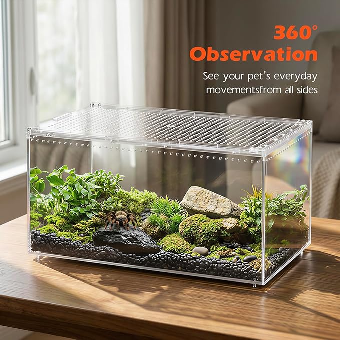 AZV Escape Proof Reptile Terrarium,Shatter Proof Polycarbonate Tarantula Tank with Magnetic Lid,Ventilated Spider Enclosure,360° Clear View,Easy Clean Habitat for Gecko,Frogs,Insects,Hermit Crabs S