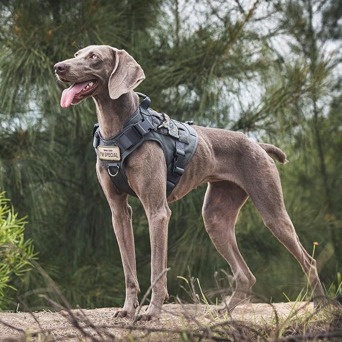 OneTigris Tactical Dog Harness Vest No-Pull Service Dog Vest for Large Dogs | 1000D Pullable Nylon, with Control Handle and Hook & Loop Panels, Easy On & Off, Adjustable for Walking Training Gray XL