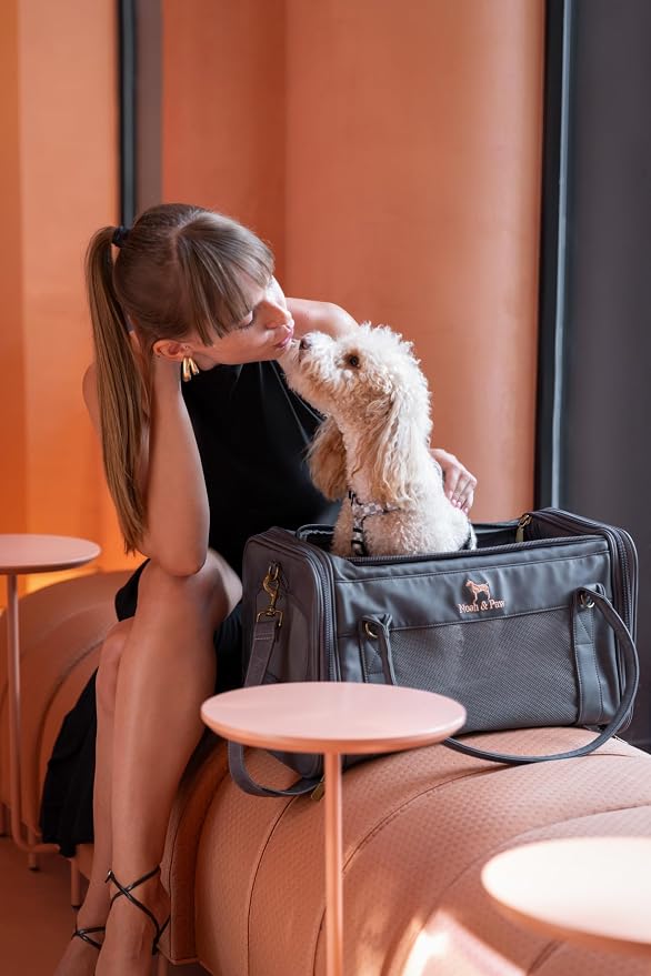 Noah & Paw Cat Carrier Soft Dog Carrier for Small Dogs, TSA Airline Approved 18x11x11in Cat Crate, Pet Travel Crate, Small Pet Kennel, Mattress Included, Charcoal Faux Leather