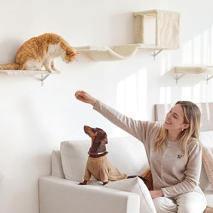 FUKUMARU Cat Wall Shelves, 4 in 1 Set, Beige | Stable & Safe Cat Walls Furniture, Wooden Kitten Climbing Wall with Scratching Post for 16 Inch Drywall