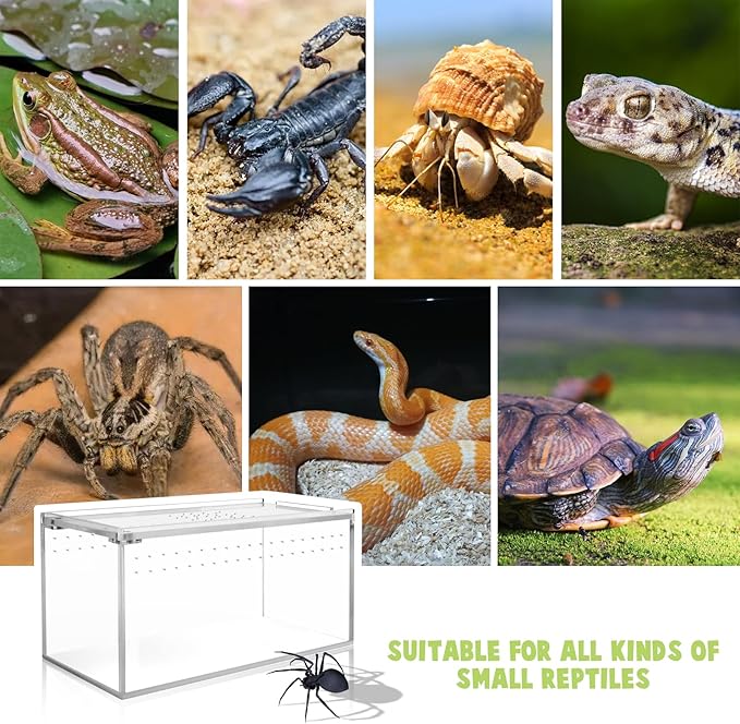 Small Acrylic Tarantula Enclosure Terrarium with Magnetic Button,8 * 4 * 4inch Thicken Isopod Enclosure,Spider Cage,Terrarium for Reptiles,Lizard,Juvenile Tarantulas