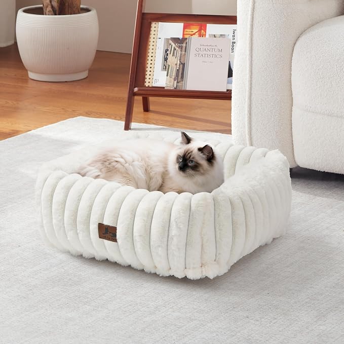 Cute Dog Bed for Small Dogs & Cats,Washable Fluffy Cat Beds for Indoor Cats, Rectangle Orthopedic Memory Foam Puppy Beds with Anti-Slip Bottom, 20 x19 x 7 Inches, Cream(20x19x6inchs)