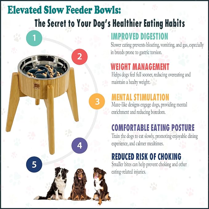 Slow Feeder Dog Bowl for Large Dogs - Elevated Food Stand, Collapsible | Raised Dog Bowl with Anti-Choking Insert, 12-Inch High, Anti-Wobble Lock, Resist Tipping - Stainless Steel, Bamboo
