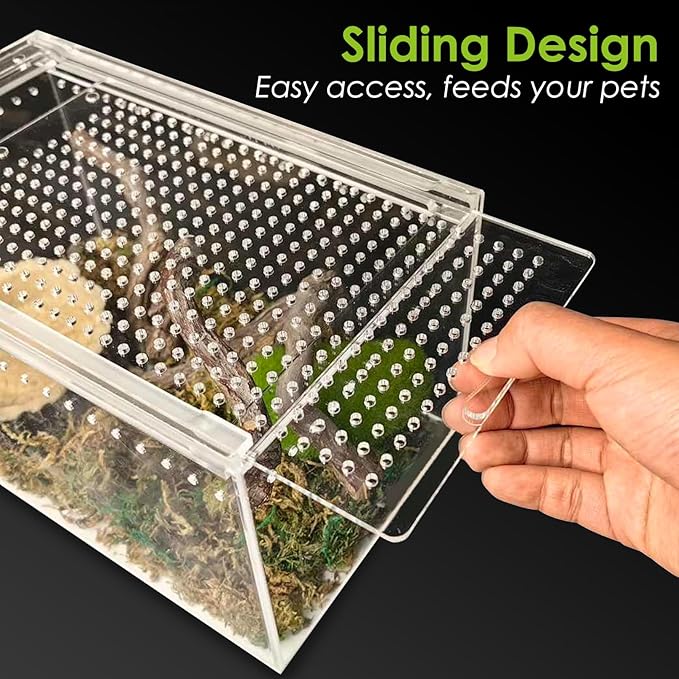 Reptile Terrarium Enclosure 10" x 6" x 6" Acrylic Tarantula Breeding Box Magnetic Hermit Crab Habitat Transparent Jumping Spider Cage for Insect Snail Amphibians Sling Isopods