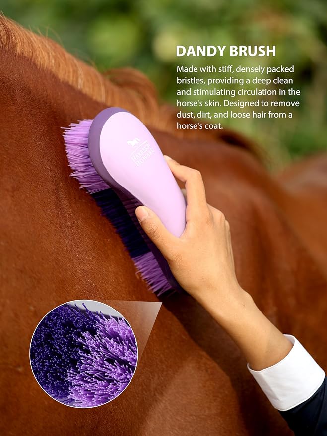 Harrison Howard Horse Grooming Brushes Kit 7 pieces with Organizer Tot Equine Care Series Horse Brush Sets New Purple