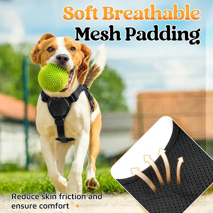 rabbitgoo Escape Proof Dog Harness for Small, No Pull with Lift Handle | No Escape, Full Soft Padded, Reflective Adjustable Vest, Leash Clip for Walking Hiking Training, Black, Small