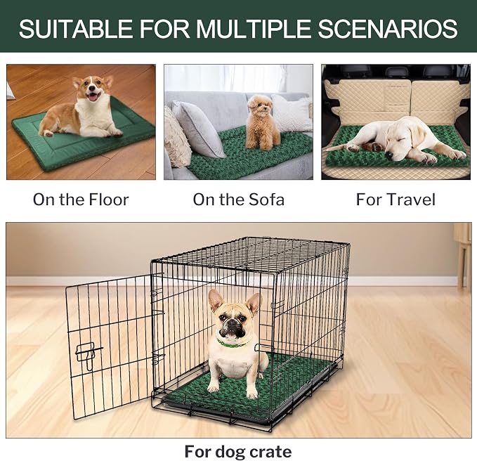 Washable Dog Bed Plush Orthopedic Outdoor Crate Mat with Non-Slip Bottom,Luxe Soft Kennel Pad for Pets,Cozy Cage Cushion & Pet Sleeping Mattress Large Sized,Medium,Small Dogs,24 x 18 inch,Green