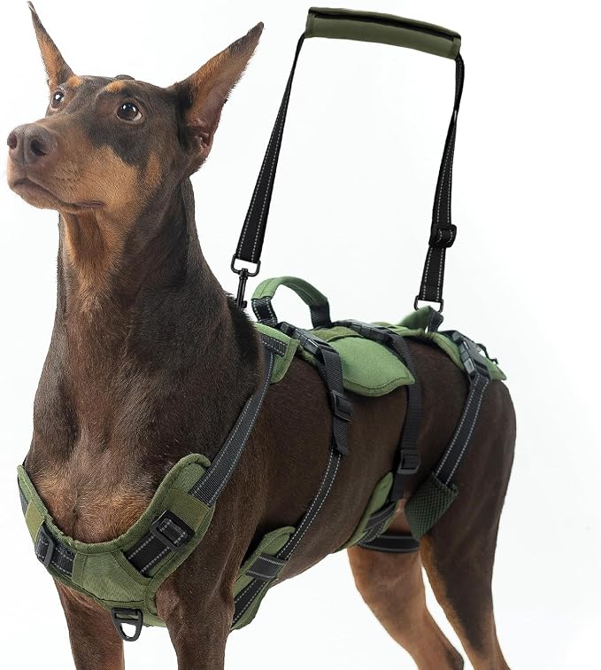 BINGPET Dog Lift Harness for Medium Dogs, Full Body Adjustable Handle Sling | Reflective Lifting Harness Rehabilitation Sling Carrier with Soft Padded Handle, Mobility Assistance Vest for Senior Pets