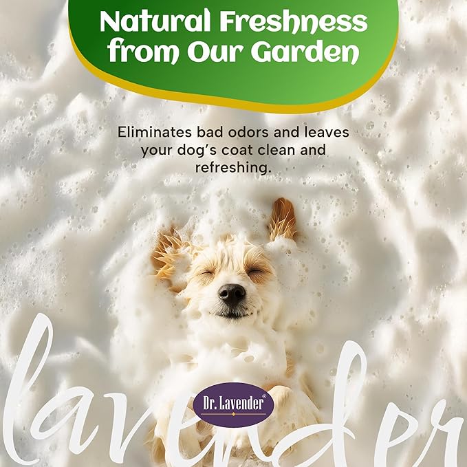 Dr. Lavender Deodorizing Dog Shampoo for Smelly Dogs - Natural Lemongrass Oil Pet Wash - Antifungal & Deep Cleansing for Oily Coats - Organic Odor Eliminator & Itch Relief - Safe for Puppy & Cat