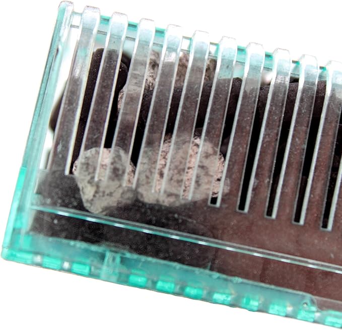 Penn-Plax Small World Aquarium Filter – Comes with a Disposable Media – Safe for Freshwater and Saltwater Setups (SWF1)