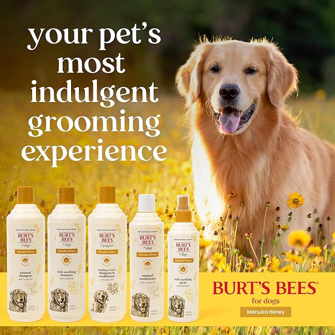 Burt’s Bees Manuka Honey Oatmeal Conditioner for Dogs with Coconut Oil, 10 Fl Oz