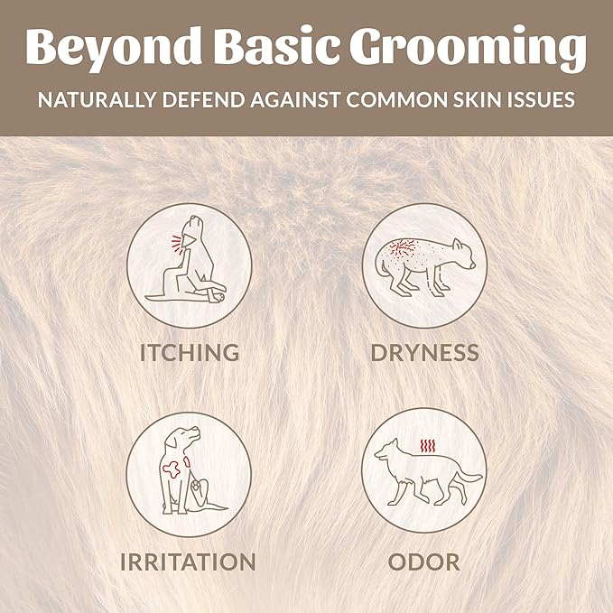 Skout's Honor Probiotic Pet Shampoo & Conditioner with Avocado Oil & Omega-3s, 97% Natural, Paraben & Sulfate-Free, Cruelty-Free, 16oz, Dog of The Woods, 2-Pack