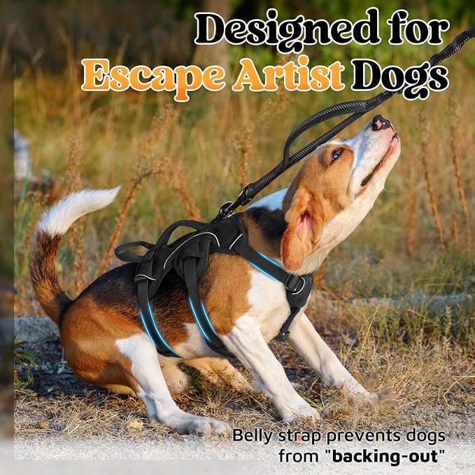 rabbitgoo Escape Proof Dog Harness for Small, No Pull with Lift Handle | No Escape, Full Soft Padded, Reflective Adjustable Vest, Leash Clip for Walking Hiking Training, Black, Small