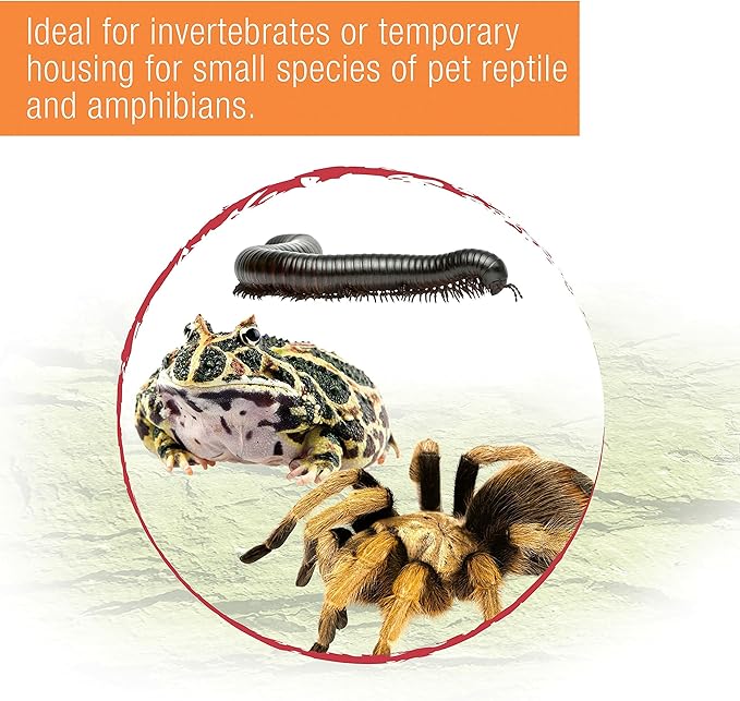 Zilla Micro Habitat Terrarium, Terrestrial, with Locking Latch, for Isopods, Spiders, Insects, Large