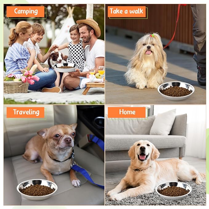 Patelai Stainless Steel Dog Bowls with Silicone Lids for 1.9 Cups Portable Food and Water Dishes for Pets Sealable Containers for 6.3" for Cats & Small Dogs(12 Pcs,Red,Blue,Green,Purple)