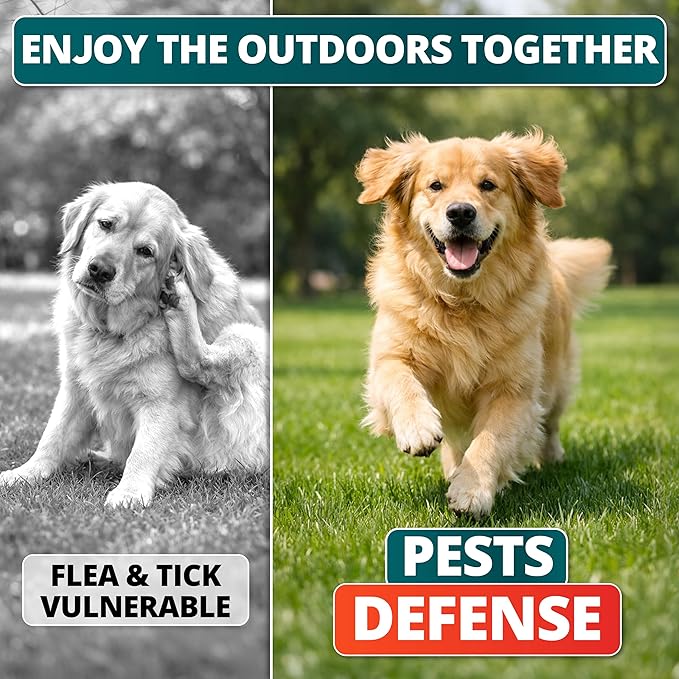 Flea and Tick Prevention for Dogs Chewables - Natural Dog Flea and Tick Treatment - Oral Control Pills - Vet Recommended Supplement - Skin & Coat Support Soft Chews - All Breeds & Sizes - Made in USA