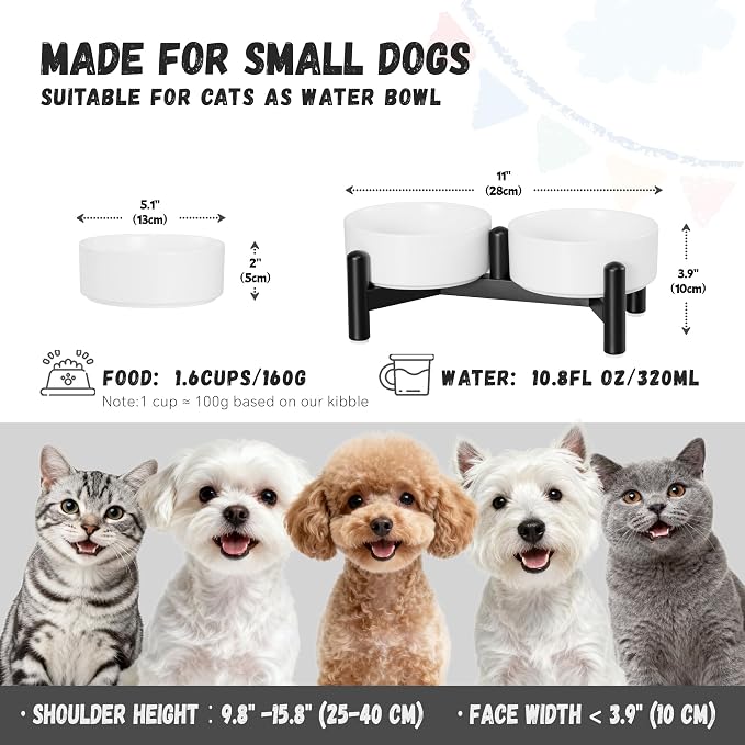Raised Ceramic Dog Bowl Set with Stand, 1.6 Cups Elevated Dog Food Stand | 5.1'' Double Dog Food and Water Bowl Set, Non-Slip Dog Feeding Dishes for Small Breeds and Cats, 10.8 OZ, White