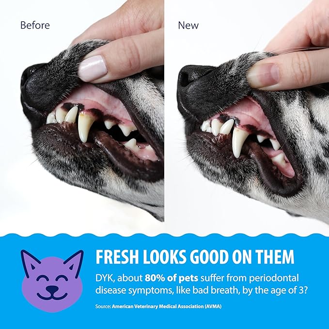 Dental Fresh Water Additive for Dogs and Cats, Advanced Formula, 8 Fl Oz, Plaque & Tartar Daily Oral Care Just Add to Water