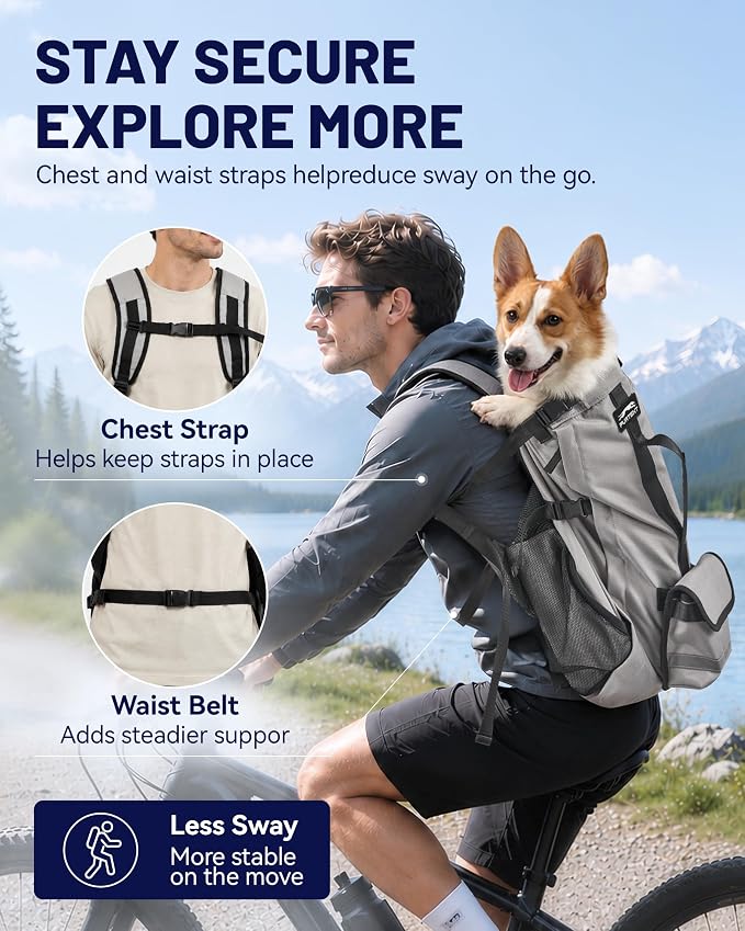 Dog Backpack Carrier for Small and Medium Dogs 4-Layer Safety Design (M) | Detachable Waist Bag with padded shoulder straps, breathable mesh and storage pockets for travel and hiking