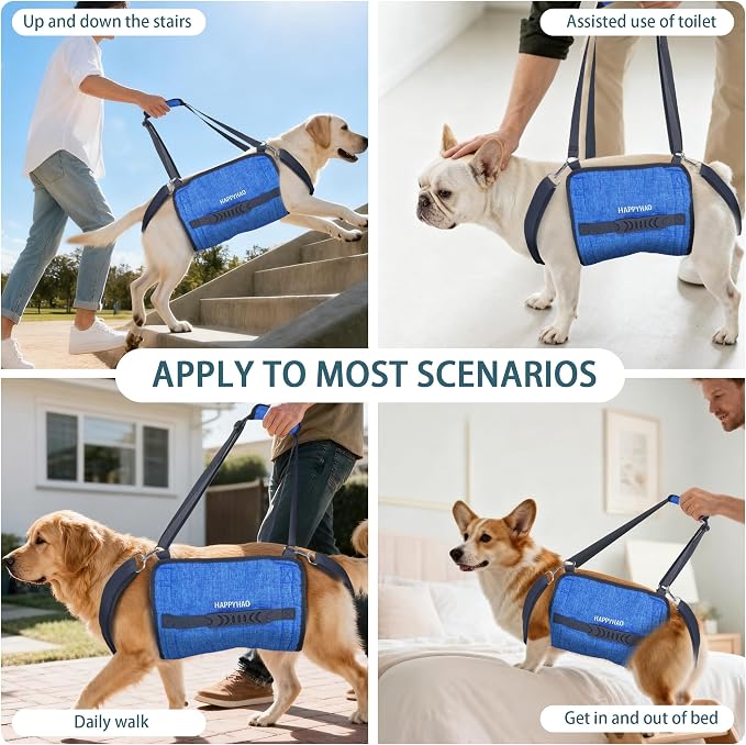Adjustable Dog Lift Harness, Suitable for Medium to Large Dogs,Blue L