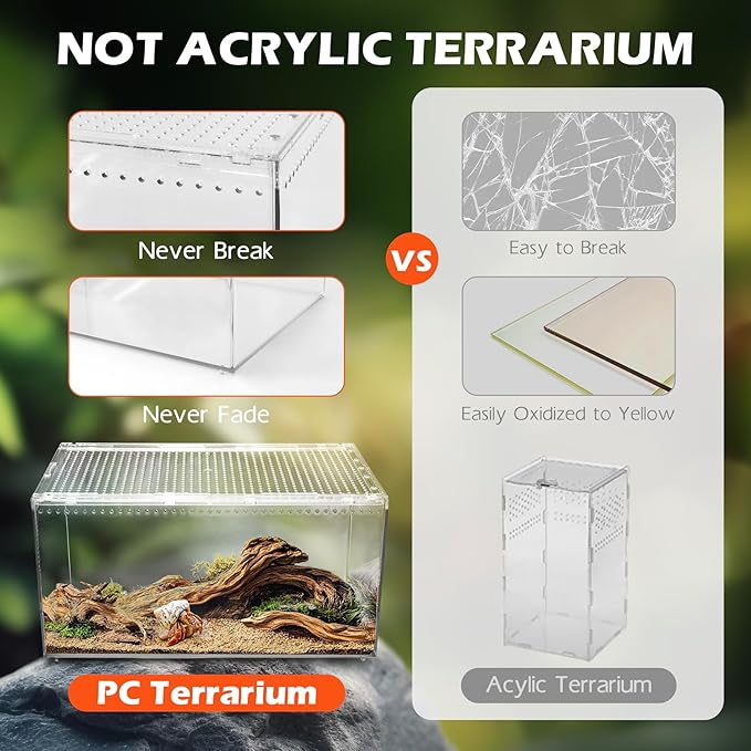 AZV Escape Proof Reptile Terrarium,Shatter Proof Polycarbonate Tarantula Tank with Magnetic Lid,Ventilated Spider Enclosure,360° Clear View,Easy Clean Habitat for Gecko,Frogs,Insects,Hermit Crabs L