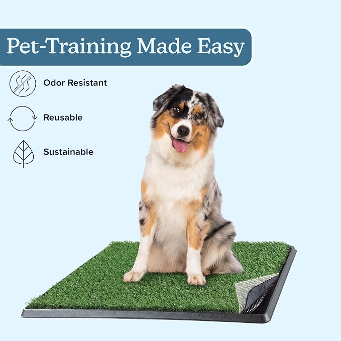 Artificial Grass Puppy Pee Pad for Dogs and Small Pets - 20x25 Reusable 4-Layer Training Potty Pad with Tray - Dog House and Pet Supplies by PETMAKER | Reusable 4-Layer Turf Pads for Dogs with Tray, Indoor and Outdoor Fake Grass Potty, Pet Supplies