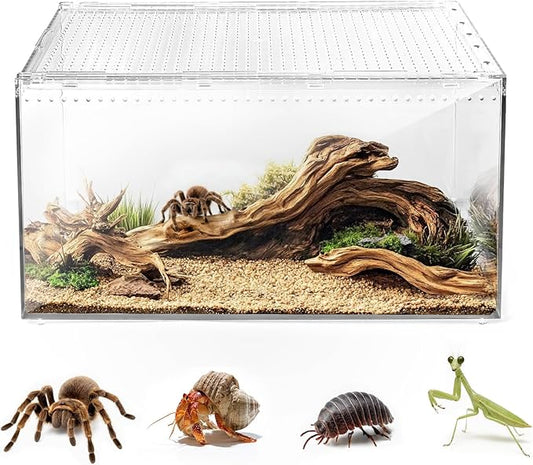 AZV Escape Proof Reptile Terrarium,Shatter Proof Polycarbonate Tarantula Tank with Magnetic Lid,Ventilated Spider Enclosure,360° Clear View,Easy Clean Habitat for Gecko,Frogs,Insects,Hermit Crabs XL