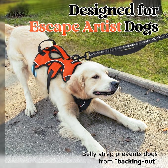 rabbitgoo Escape Proof Dog Harness for X-Large, No Pull with Lift Handle | No Escape, Full Soft Padded, Reflective Adjustable Vest, Leash Clip for Walking Hiking Training, Orange, X-Large
