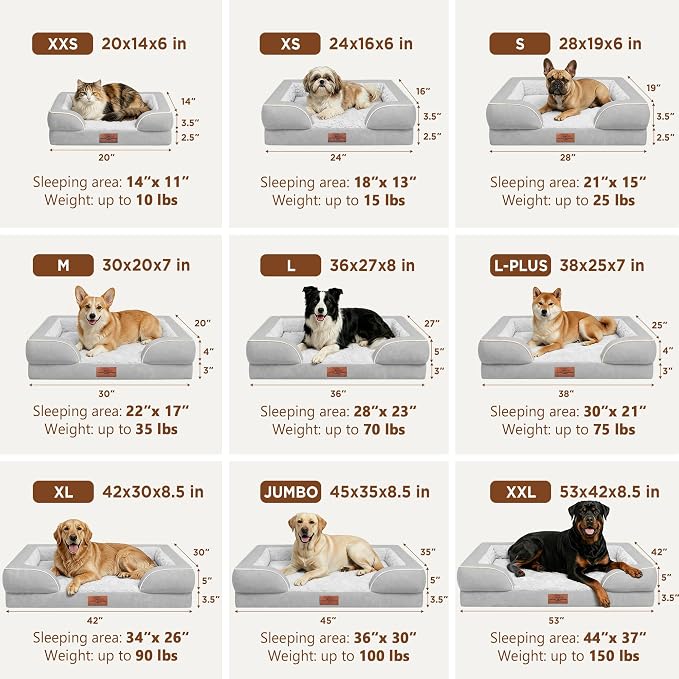 Comfort Expression Waterproof Orthopedic Dog Beds for Large Sized Dog | Supportive Egg Crate Foam Large Pet Bed with Removable Bolster, Dog Couch with Washable Cover & Non-Slip Bottom, 36x27 Inch