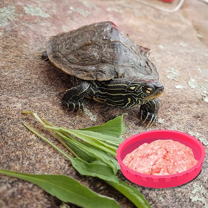 6 Pcs Gecko Feeding Cups,Silicone Geckos Food Cup,Silicone Gecko Feedings Cup,and Water Bowl,Reptile Feeding Cups for Geckos,Isopods,Lizards,Tarantula,Small Pets,Easy Clean & 6 Colors