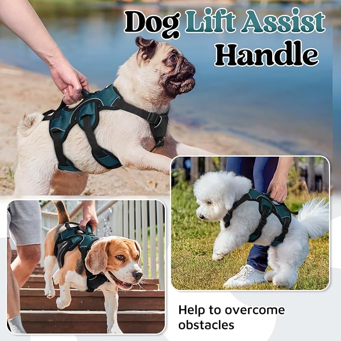 rabbitgoo Escape Proof Dog Harness for Small, No Pull with Lift Handle | No Escape, Full Soft Padded, Reflective Adjustable Vest, Leash Clip for Walking Hiking Training, Dark Green, Small