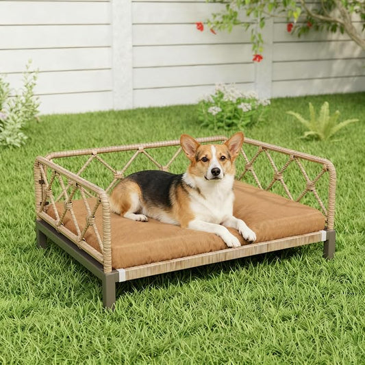 Elevated Indoor & Outdoor Dog Bed for Small Dogs, Durable Rattan Wicker Pet Sofa with Removable Washable Waterproof Cushion, Stylish Dog Couch, Brown