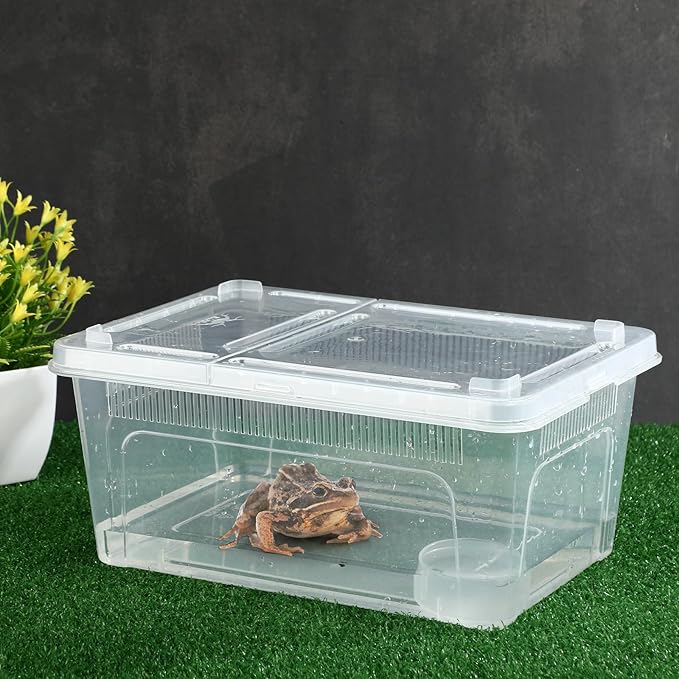 Irenare 8 Pcs Reptile Breeding Box Plastic Spider Terrarium Tarantula Feeding Box for Bearded Dragon Lizard Spider Gecko Scorpion(Vent Strips,Clear,10.6 x 7.4 x 4.7 Inch)