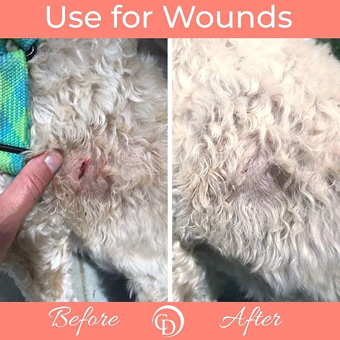 COAT DEFENSE Trouble Spot Drying Paste | Made in USA | 5 Oz Dog & Cat Skin Care, Itchy Skin & Allergies, Alleviates Hot Spots for Dogs & Cats, Insect Bites Relief & Dog Wound Care
