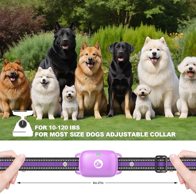 Dog Traning Collar - 2600FT Shock Collar for Dogs with Remote Control, IP68 Waterproof 3 Modes (Beep/Vibration/Shock) Ecollar, Security Lock for Large Medium Small Dogs, Purple