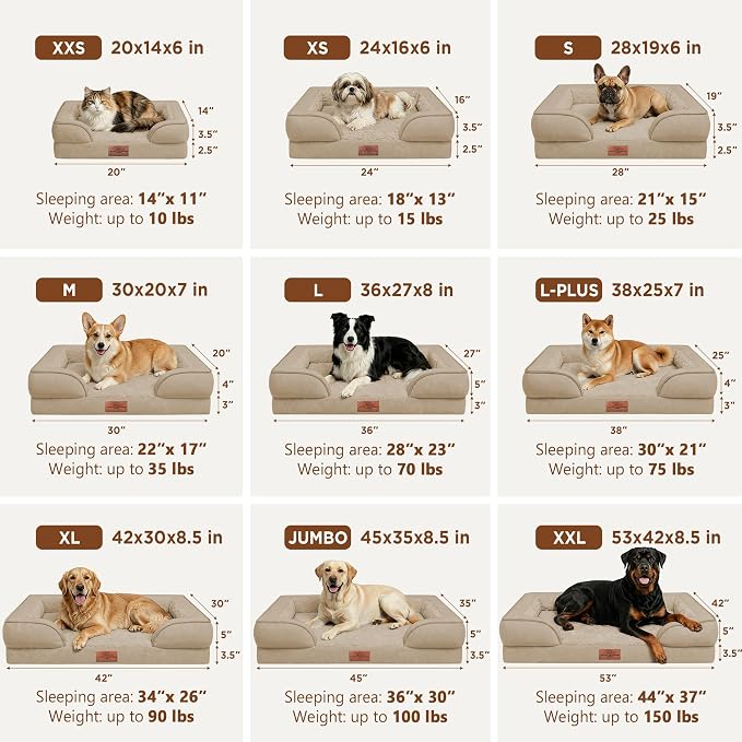 Comfort Expression Waterproof Orthopedic Dog Bed for Extra Large Dogs | Supportive Egg Crate Foam XL Pet Bed with Removable Bolster, Dog Couch with Washable Cover & Non-Slip Bottom, 42x30 Inch