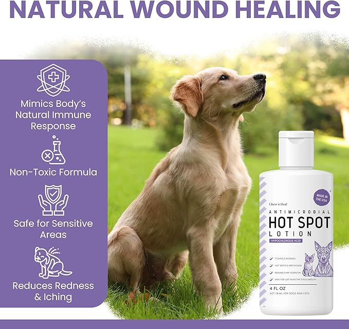 Chew + Heal Labs Hypochlorous Acid Lotion for Dogs – 2oz Dog Wound Spray for Cuts, Burns, Sores, Abrasions, and More – Non Toxic and Chemical Free Hot Spot Lotion – Made in the USA