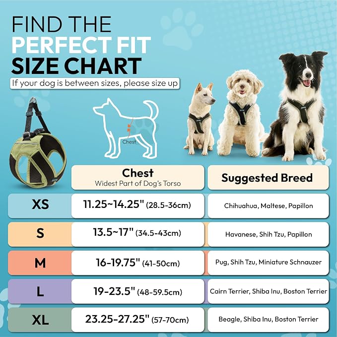 Gooby Escape Free Easy Fit X Step-in Dog Harness, Portland Green, X-Large | Patented escape-free, tightens on back-out; Choke-free X-frame + V-neck; Quick-release buckle; Reflective trim