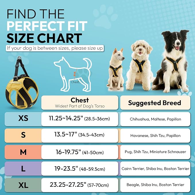 Gooby Escape Free Easy Fit X Step-in Dog Harness, Miami Yellow, Small | Patented escape-free, tightens on back-out; Choke-free X-frame + V-neck; Quick-release buckle; Reflective trim