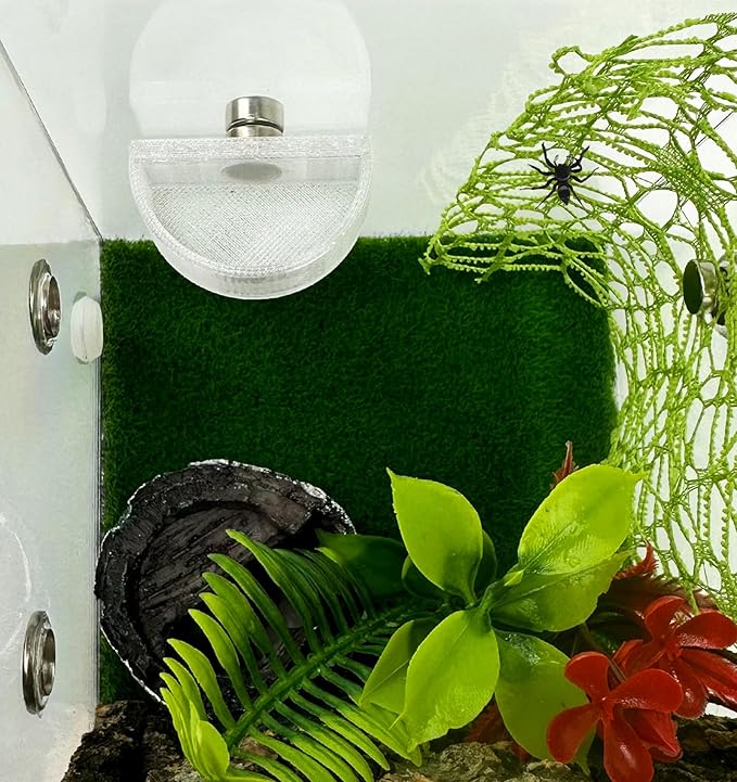 3 PCS Jumping Spider Feeding Dish, Tiny Food Dishes Water Dish for Jumping Spider, Tarantula and Other Small Pets, Half Round