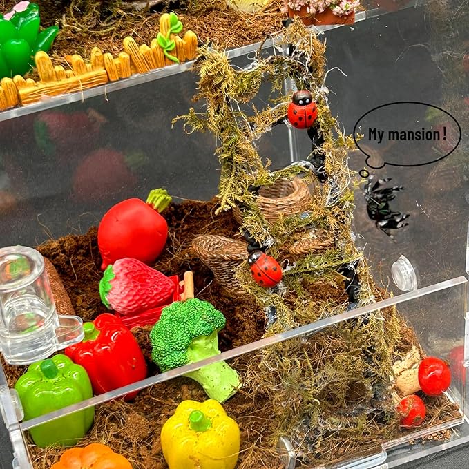 Jumping Spider Enclosure,DIY Insects Habitat,Small Reptile Terrarium Glass House Accessories Set,with Temperature and Humidity Detector Water Feeder Platform Hide,5.5“x5.5”x9.5“ (Farm)