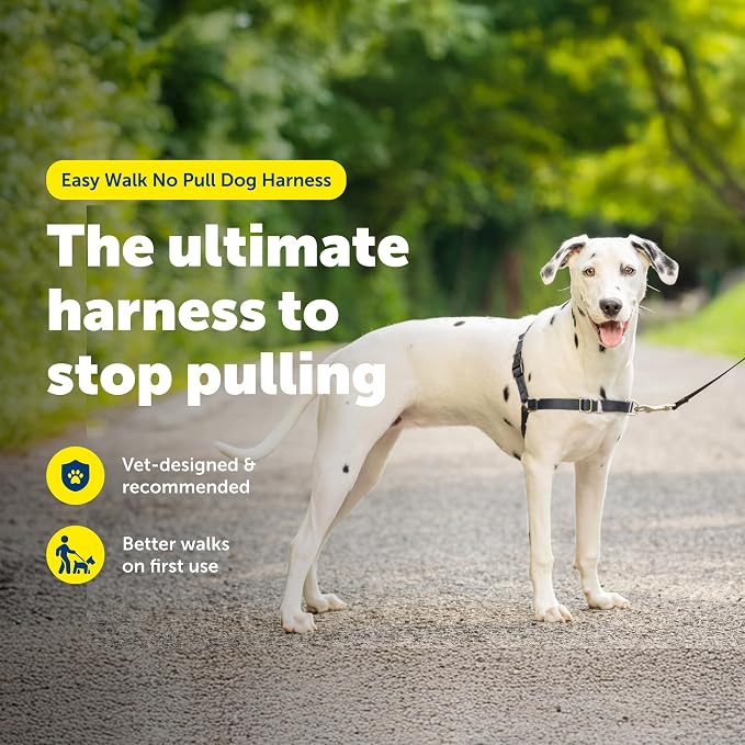 PetSafe Easy Walk Harness, No Pull Dog Harness, Charcoal Gray, Medium/Large | Patented Martingale Loop Gives Gradual Shoulder Pressure to Stop Pulling, Front-Chest Leash Clip Prevents Gagging