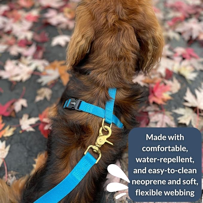 Adventure Dog Harness - Stylish & Durable Large Dog Harness for Outdoor Adventures and Everyday Wear - Pacific Blue Neoprene Adjustable Harness for Dogs with Reflective Piping, Brass D-Ring