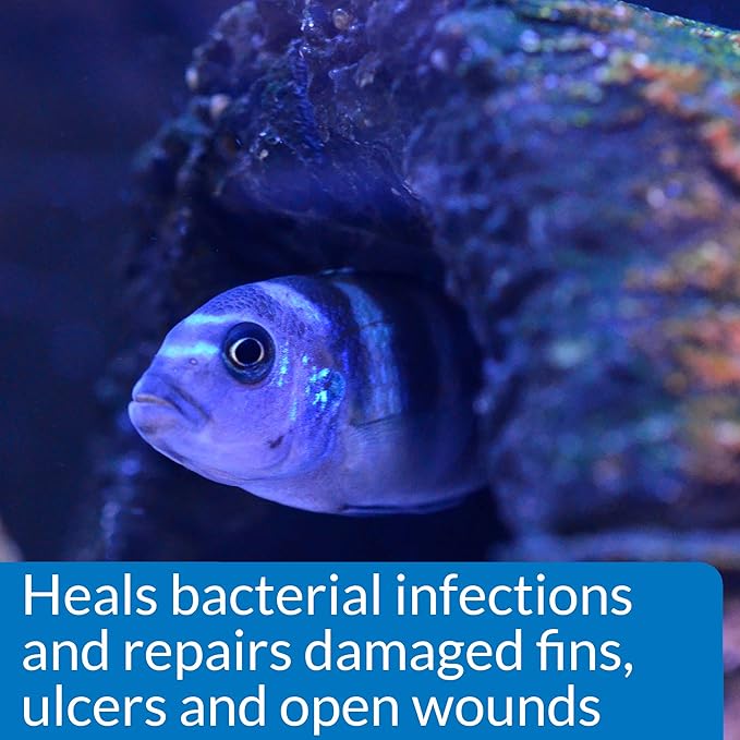 API MELAFIX Freshwater Fish Bacterial Infection Remedy 4-Ounce Bottle