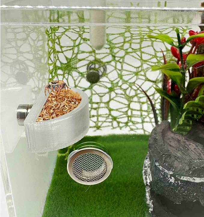 3 PCS Jumping Spider Feeding Dish, Tiny Food Dishes Water Dish for Jumping Spider, Tarantula and Other Small Pets, Half Round